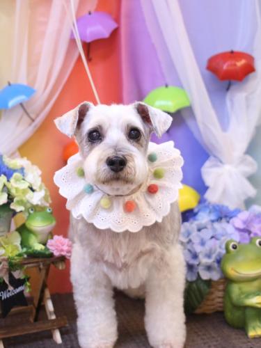 20230624ボルトくん